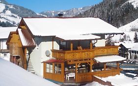 Apartments Joe Großarl - OSB02080-EYA